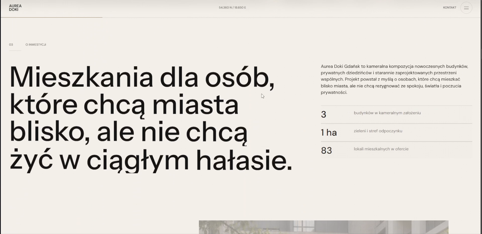 Jasna sekcja informacyjna projektu Aurea Doki
